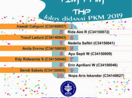 pkm 2