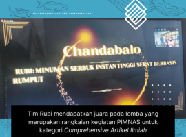 Tim Rubi Mendapatkan Penghargaan Kategori Comprehensive Artikel Ilmiah dari Dikti IPB University