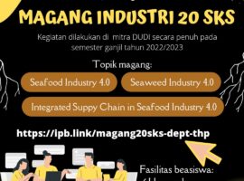 Beasiswa Program MBKM Magang Industri 20 SKS