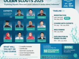Ocean Scouts Summer Course 2025