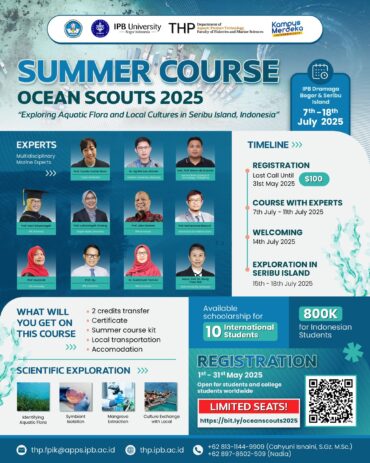 Ocean Scouts Summer Course 2025