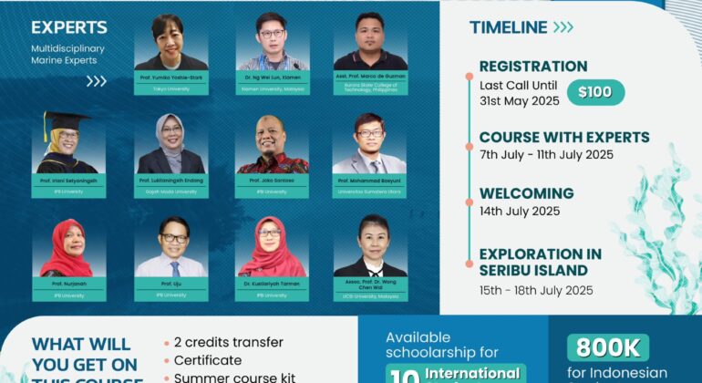 Ocean Scouts Summer Course 2025